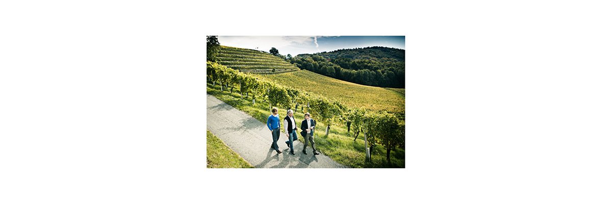 Weingut Gross - Sauvignon Blanc, Muskateller, Morillon aus der Südsteiermark - 