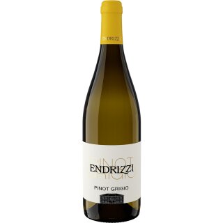 2023 Pinot Grigio Trentino DOC