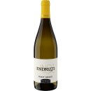 2023 Pinot Grigio Trentino DOC